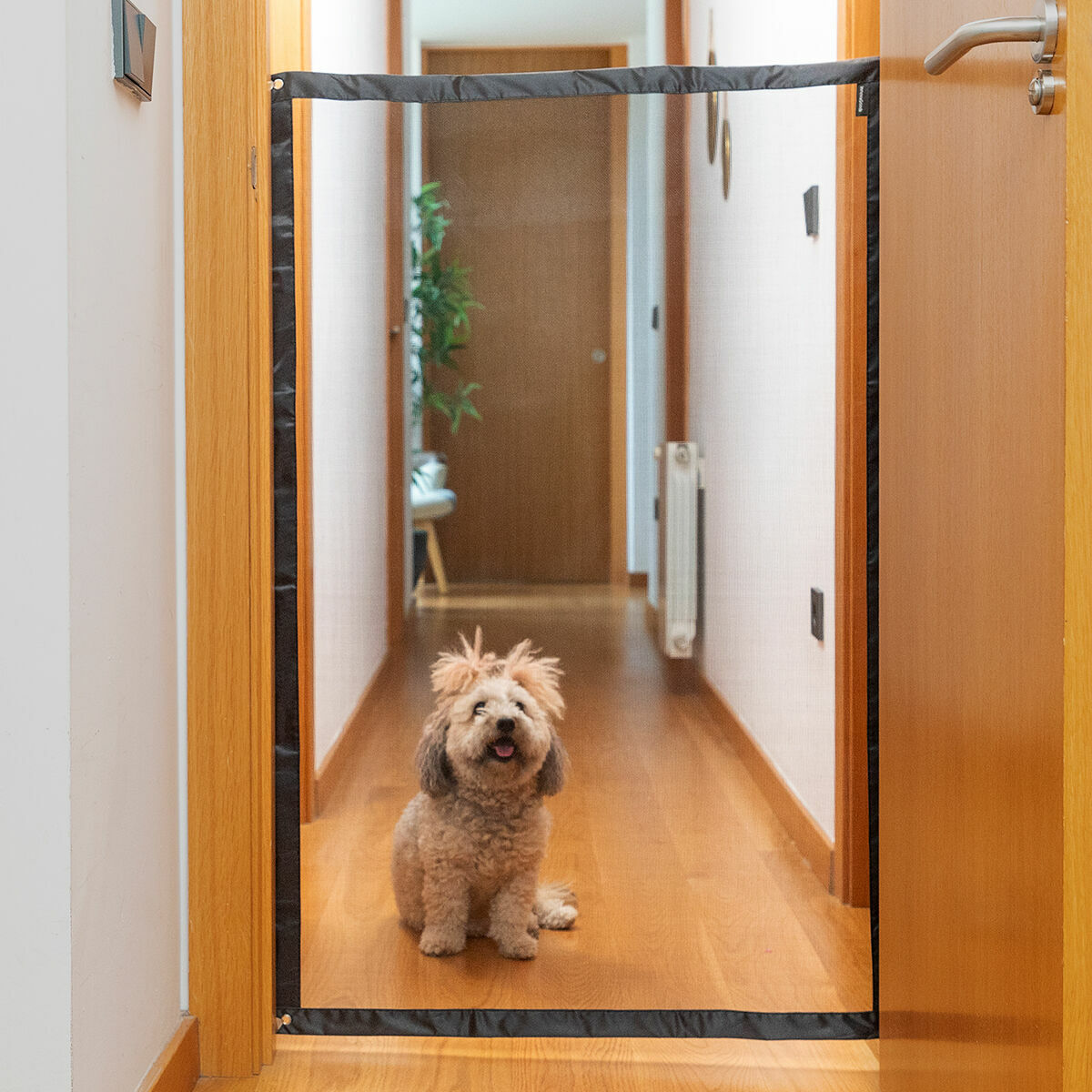 Rete di Protezione per Animali Domestici Petinu